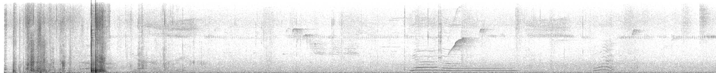 Western Flycatcher - ML639453968