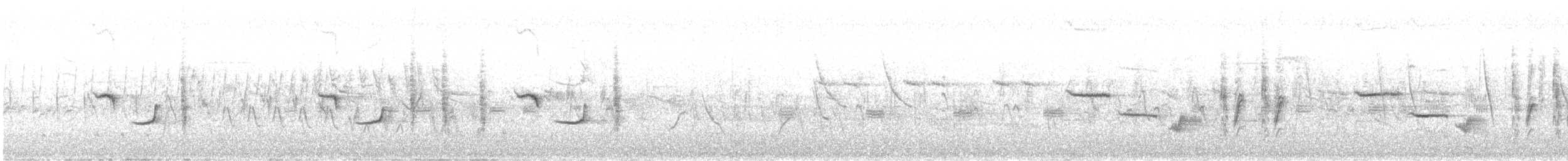 Blyth's Reed Warbler - ML639454654