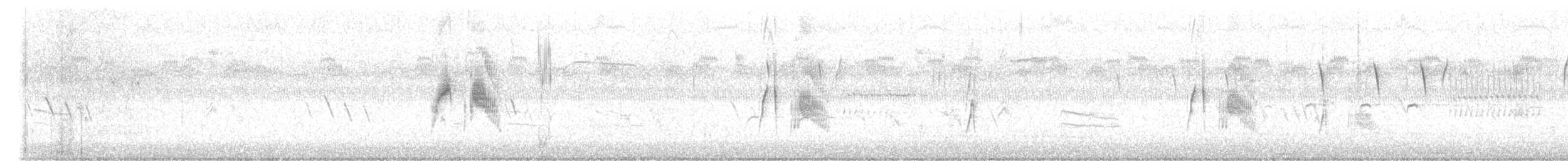 Willow Flycatcher - ML639455007