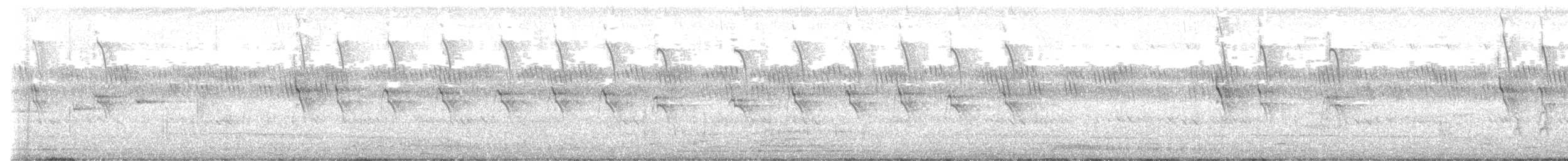 Râle à collier - ML639461586