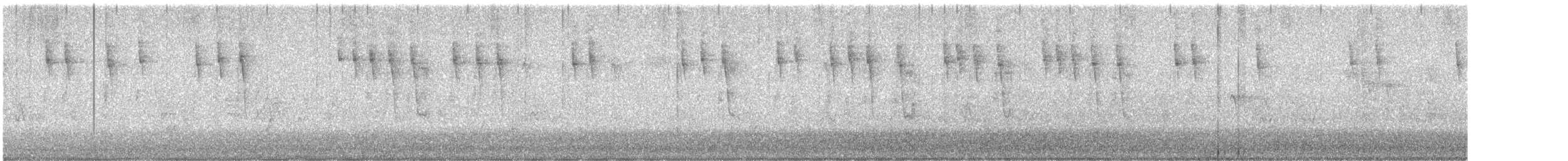 new world warbler sp. - ML639464716