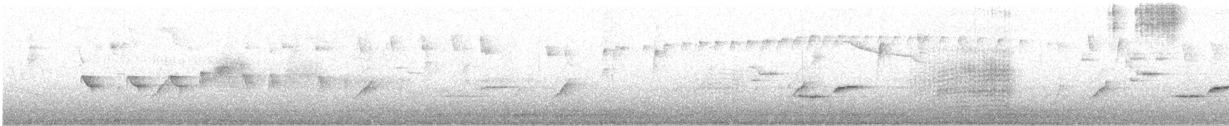 Band-tailed Pigeon - ML639466131