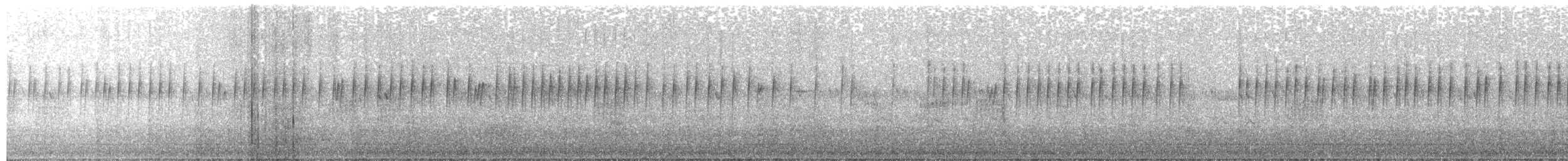 Prinia gracile - ML639468501