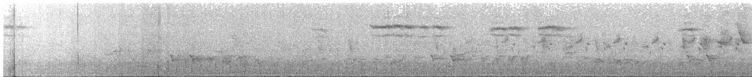 Black Scrub-Robin - ML639468519