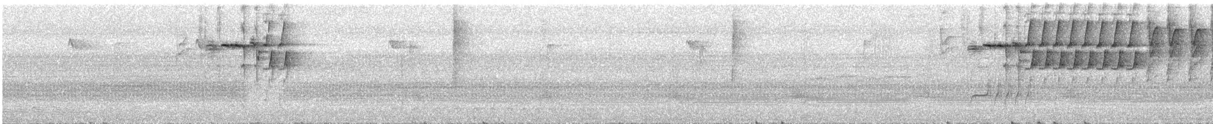 skiferfrøeter - ML639469946