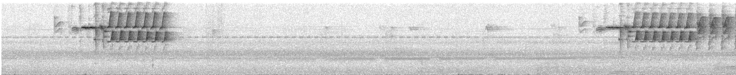 skiferfrøeter - ML639469948