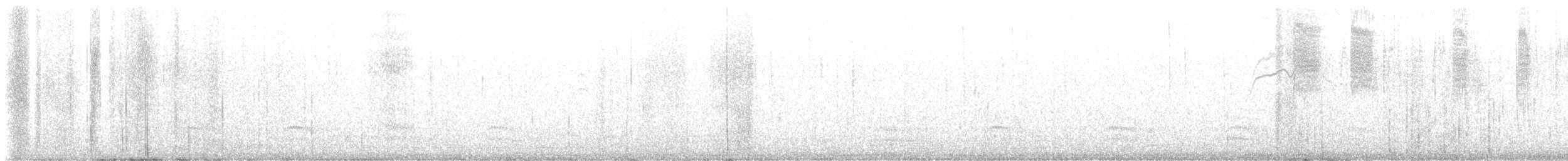 Rufous Hummingbird - ML639470770