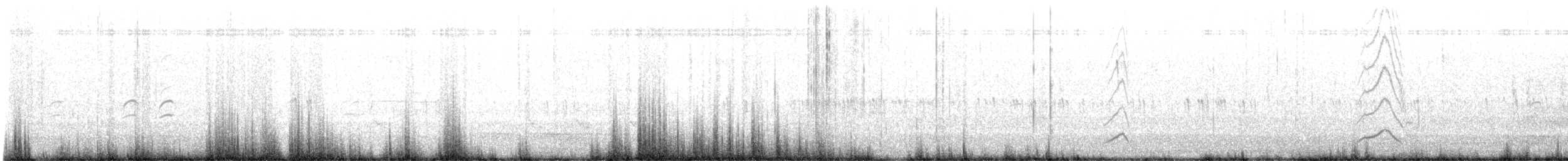 White-winged Crossbill - ML639473078