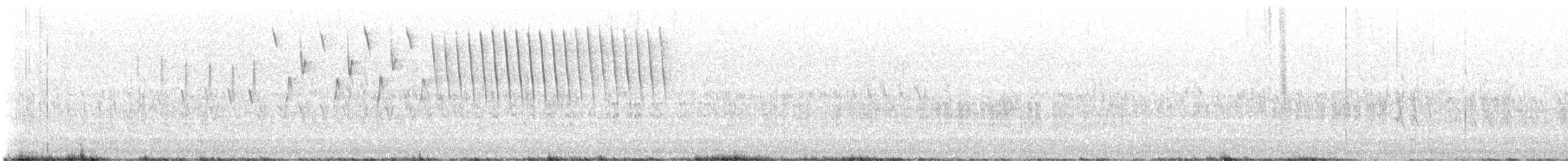 White-winged Crossbill - ML639473454
