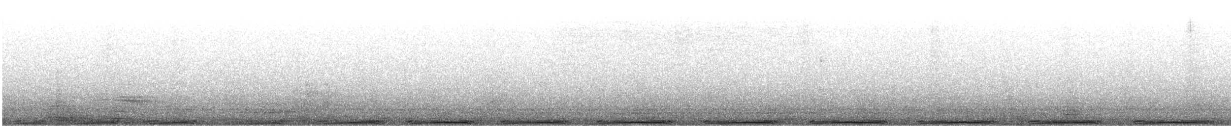 Rock Pigeon (Feral Pigeon) - ML639473763