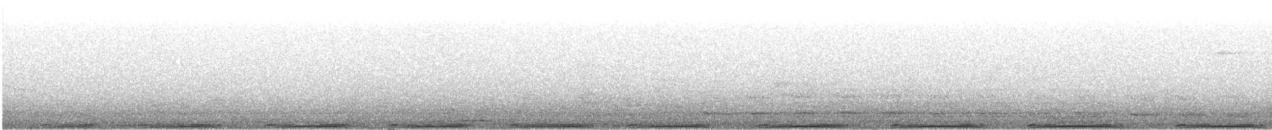 Rock Pigeon (Feral Pigeon) - ML639473764