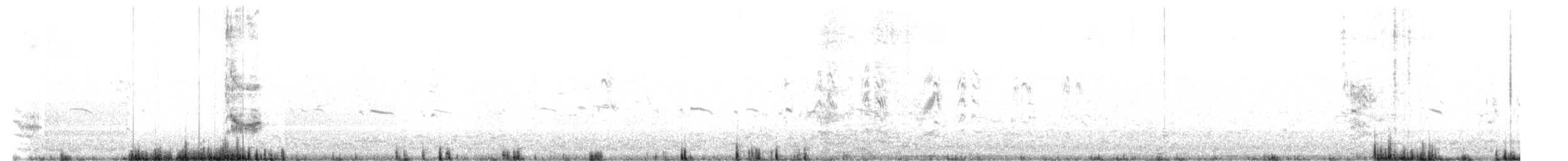 Forster's Tern - ML639478069