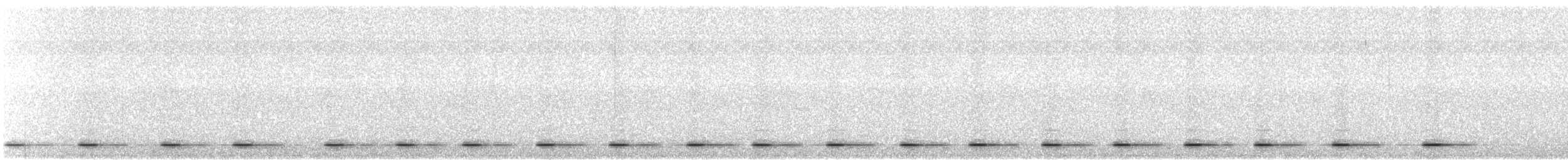 Northern Saw-whet Owl - ML639480937