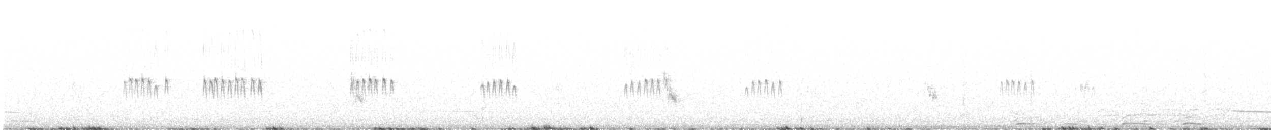 Bécasseau de Temminck - ML639481247