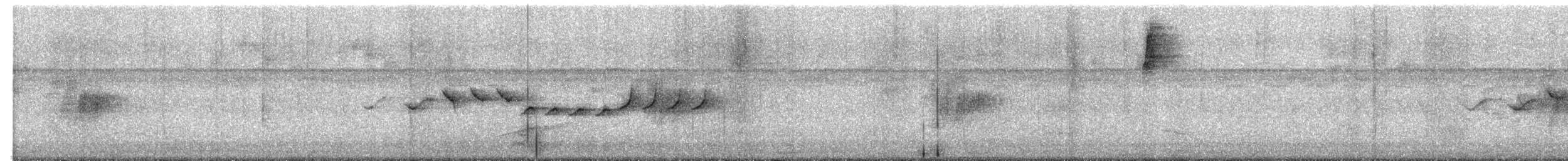 Morelet's Seedeater - ML639481968