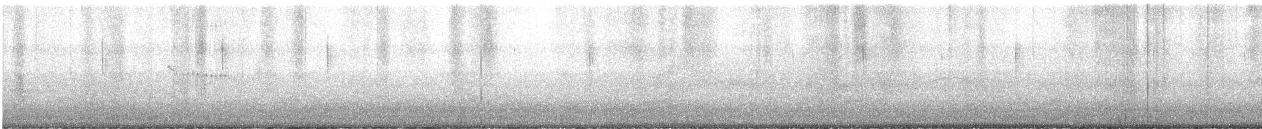 Straneck's Tyrannulet - ML639482467