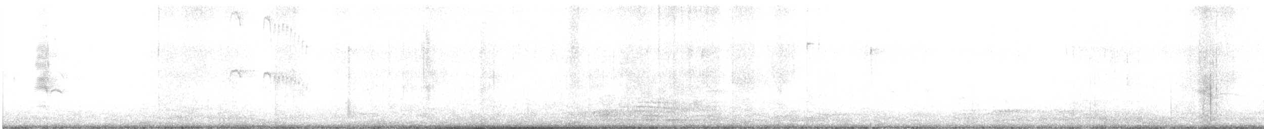 Straneck's Tyrannulet - ML639482468