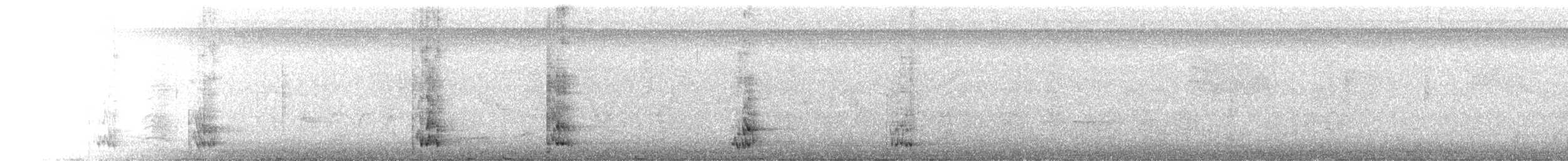 White-throated Magpie-Jay - ML639484643