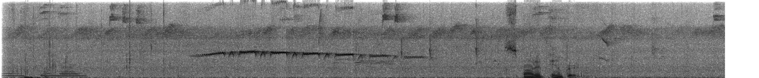 brunryggmaurfugl - ML639484790