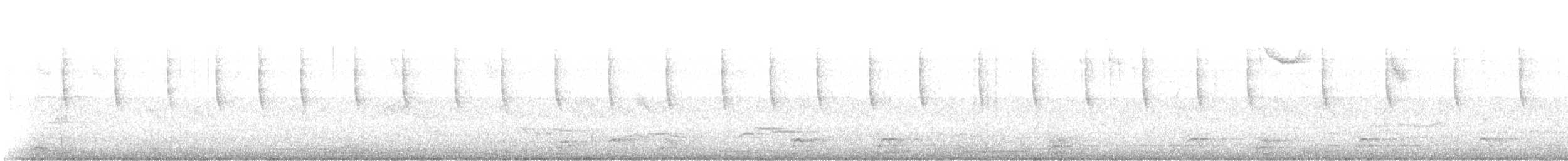 Mexican Violetear - ML639485924