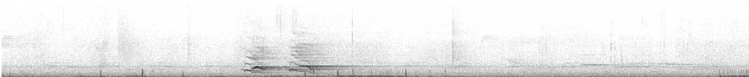 Pied Currawong - ML639490013