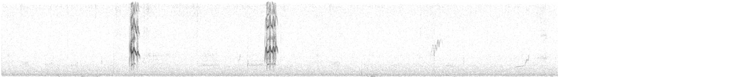 Snowy Plover - ML639490205