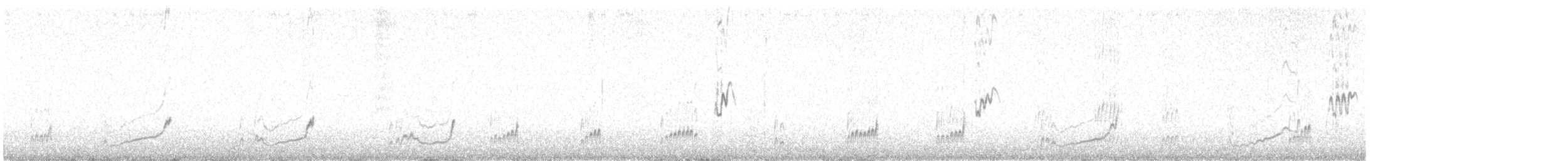 Snowy Plover - ML639490206