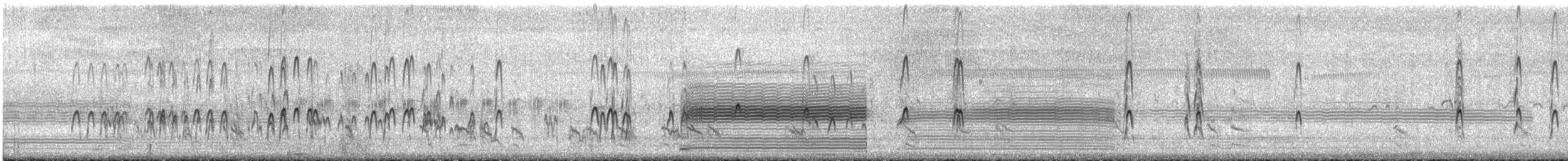 Bécassin à long bec - ML639490423