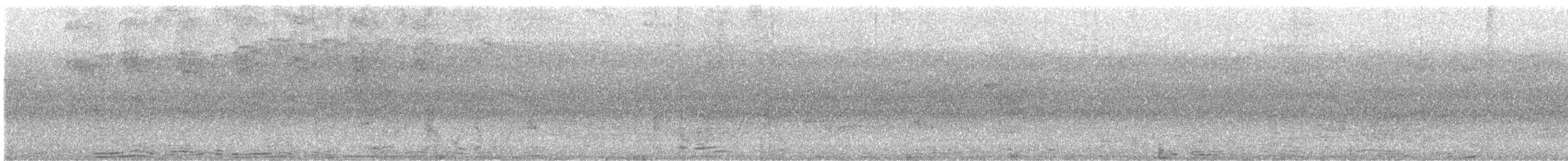 White-collared Swift - ML639492752