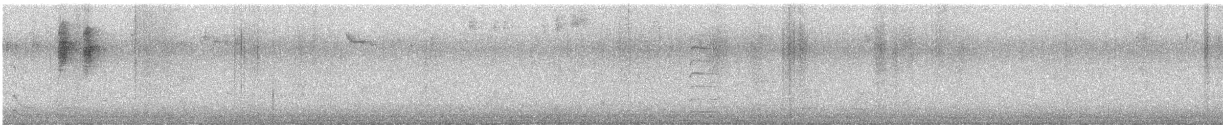 Striated Thornbill - ML639495678