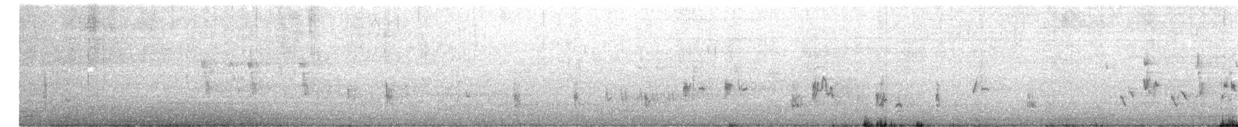 Australian Reed Warbler - ML639496300