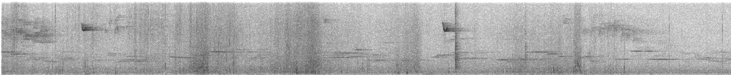 キメジロハエトリ - ML639496605