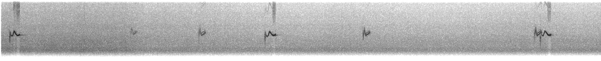 Cape Wagtail - ML639499389
