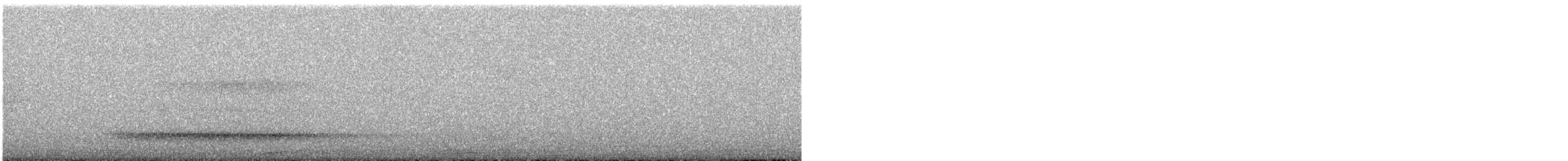 Western Barn Owl - ML639501014