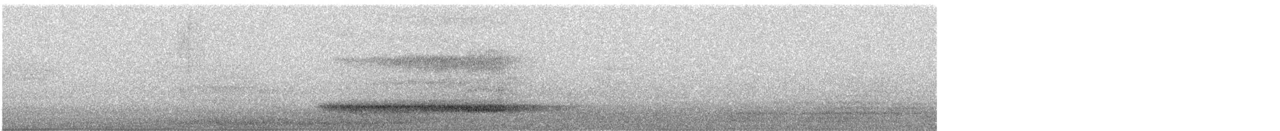 Western Barn Owl - ML639501015