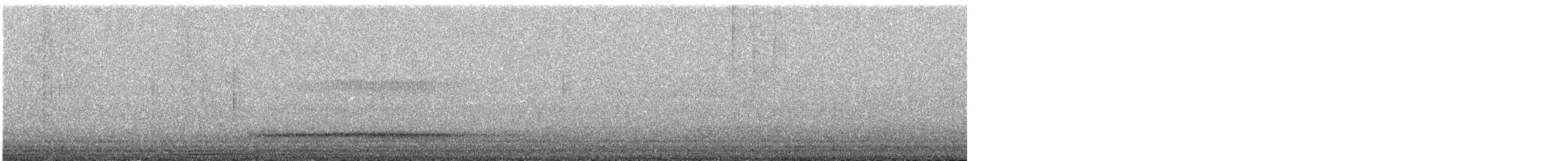 Western Barn Owl - ML639501017