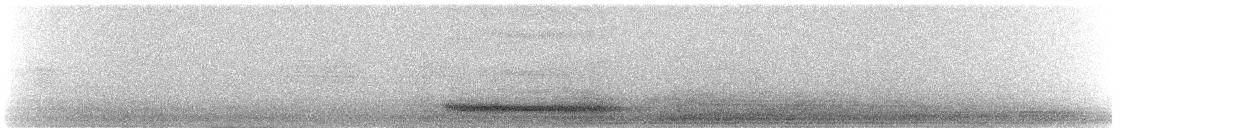 Western Barn Owl - ML639501018