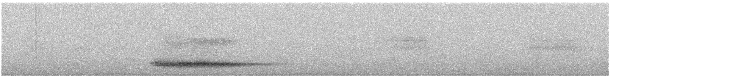 Western Barn Owl - ML639501019