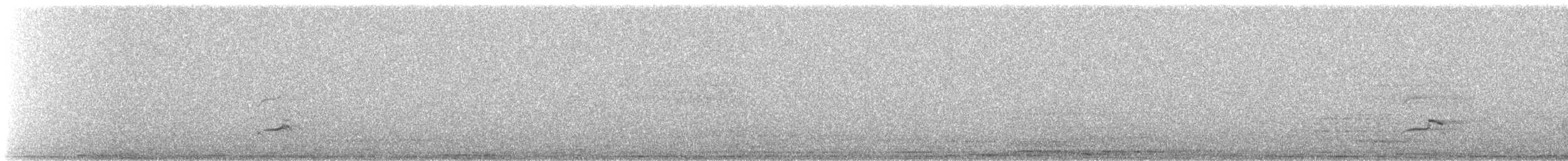 Eurasian Thick-knee - ML639501023