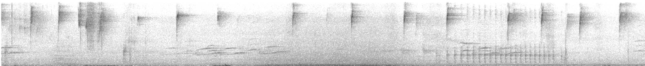 Mangrove Cuckoo - ML639502716