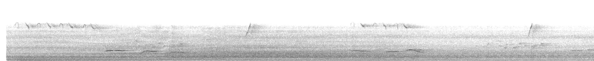 Abbott's Babbler - ML639504321