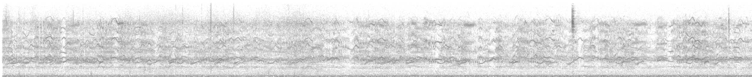 Sandwich Tern - ML639505158
