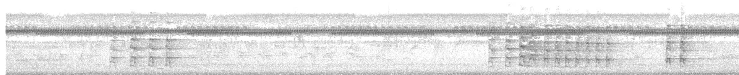 Oriental Pied-Hornbill - ML639506784