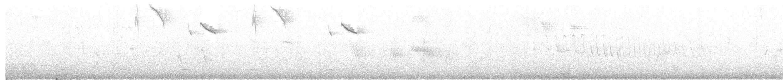 Puerto Rican Spindalis - ML639506792