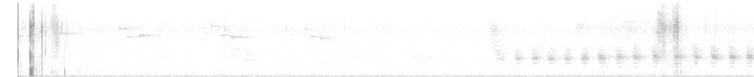 vireo sp. (Red-eyed Vireo complex) - ML639506827