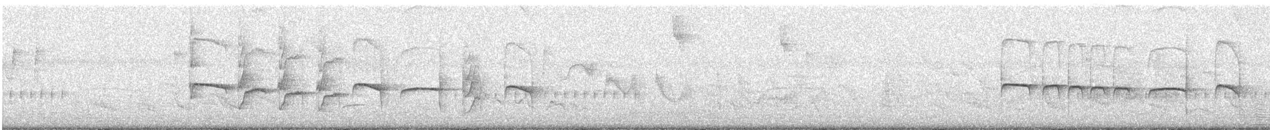 Southern Beardless-Tyrannulet - ML639507206