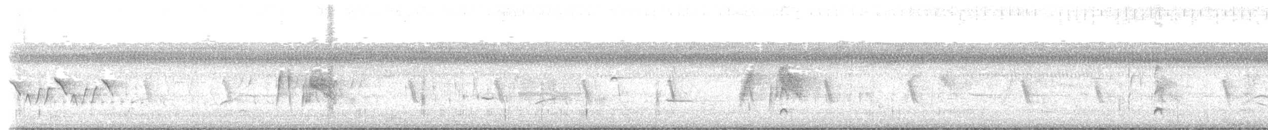 Willow Flycatcher - ML639507685