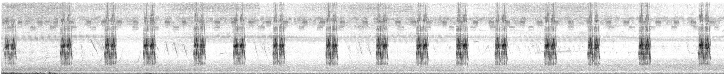 Hirondelle bicolore - ML639509364