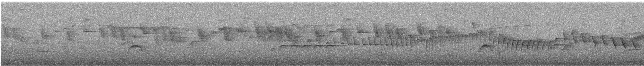 Barred Becard - ML639510266