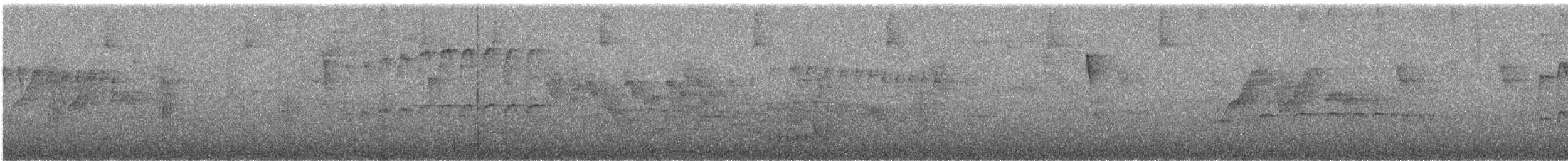 Barred Becard - ML639510272